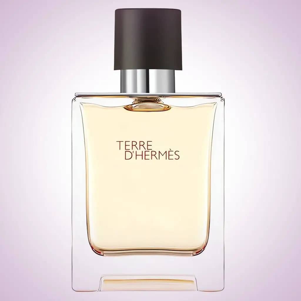 TERRE D'HERMÈS Eau de Toilette Eau de Toilette HERMÈS   